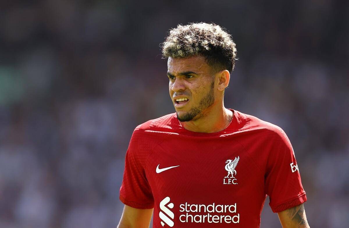 关于利物浦球迷大规模抗议VAR裁判判罚的信息